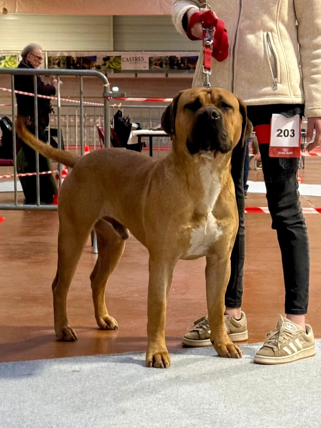 Veni vidi vici Los Nobles Del Norte